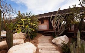 El Perdido Desert Dream- Adults Only